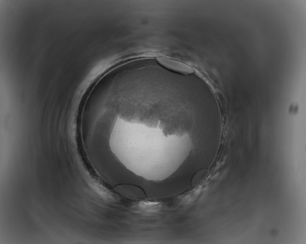 X0000100480055200806201639