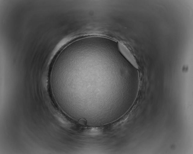 X0000100480056200806201639
