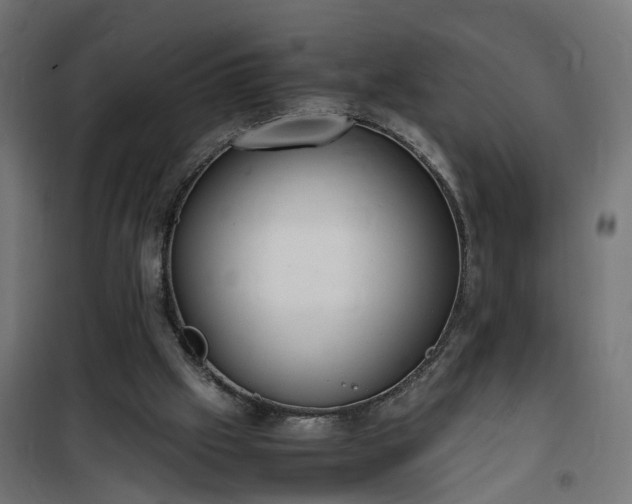 X0000100480057200806201639