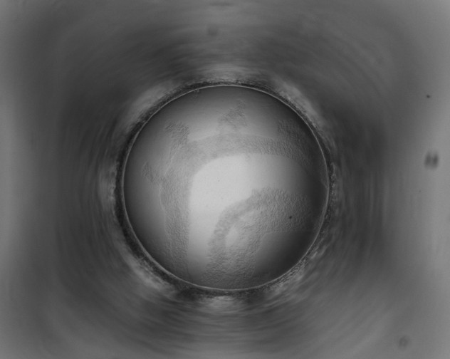 X0000100480058200806201639