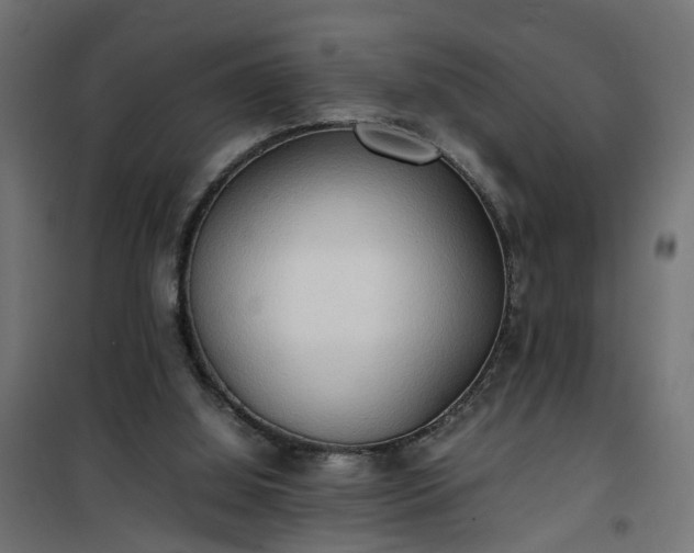 X0000100480060200806201639