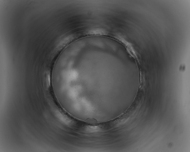 X0000100480061200806201639