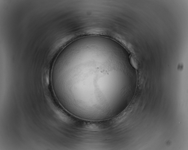 X0000100480062200806201639