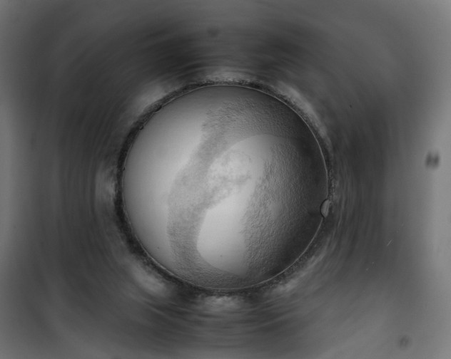 X0000100480063200806201639