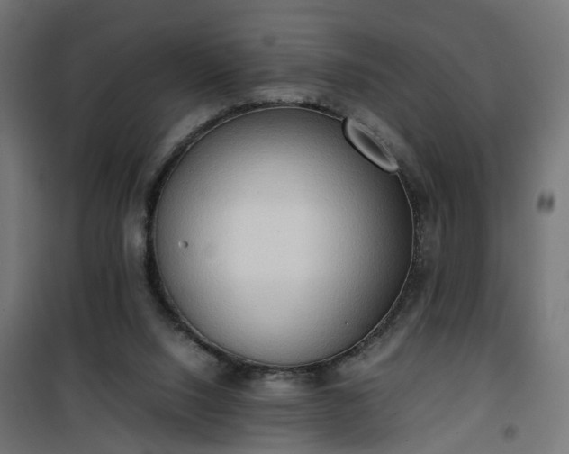X0000100480064200806201639