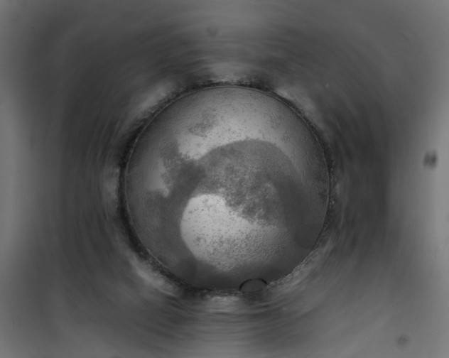 X0000100480066200806201639