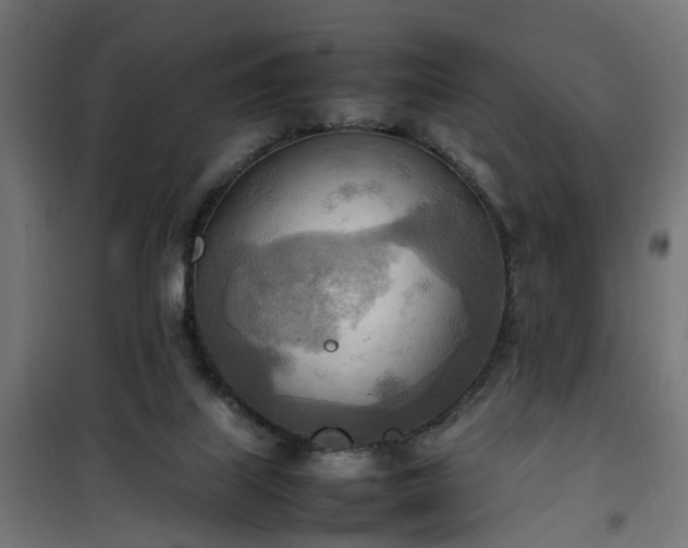 X0000100480067200806201639