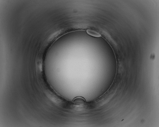 X0000100480068200806201639
