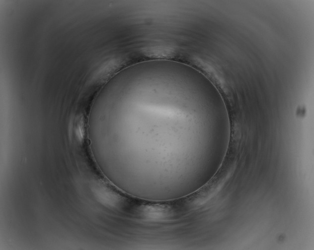 X0000100480069200806201639
