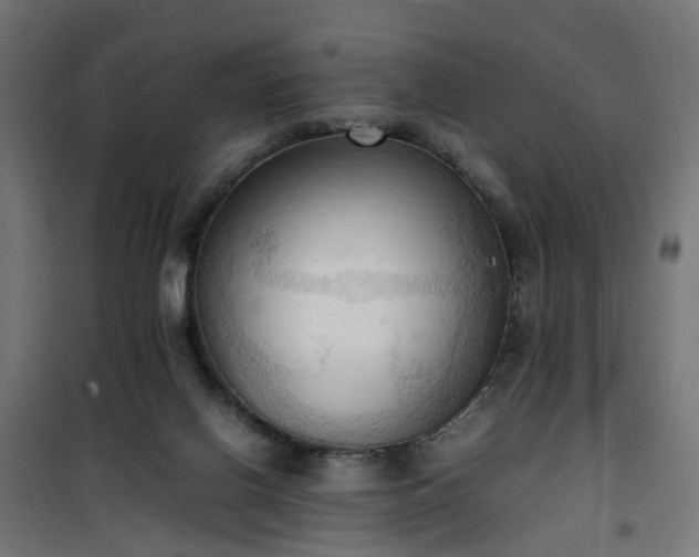 X0000100480070200806201639