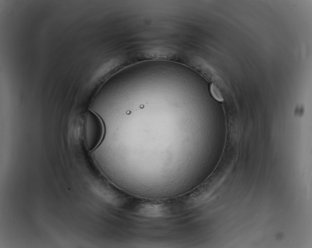 X0000100480071200806201639