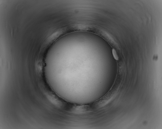X0000100480072200806201639