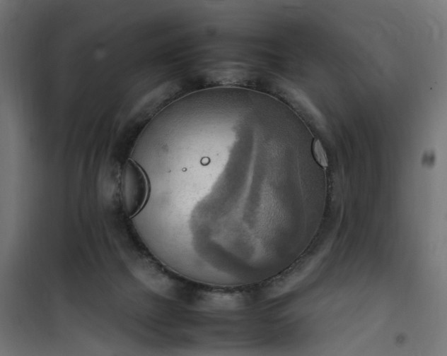 X0000100480073200806201639