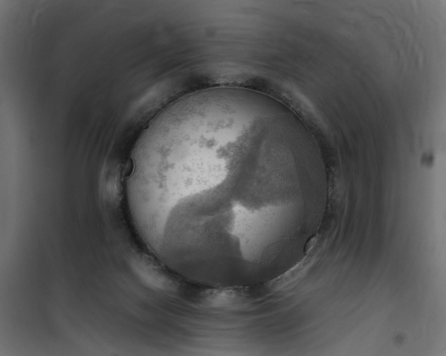 X0000100480074200806201639