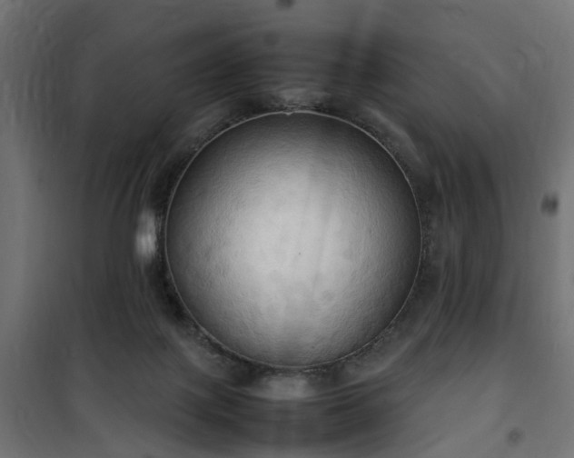 X0000100480075200806201639