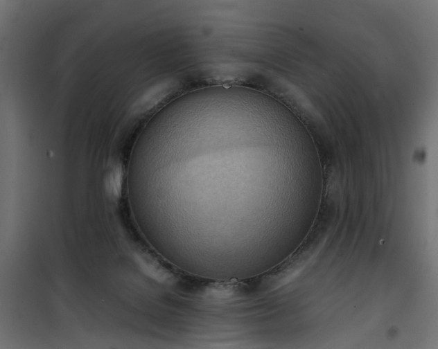 X0000100480076200806201639