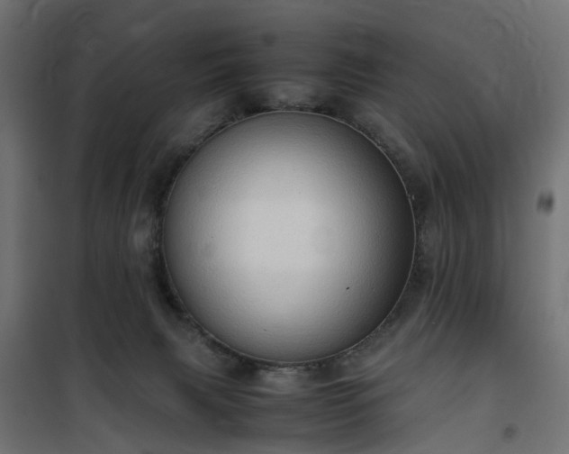 X0000100480079200806201640