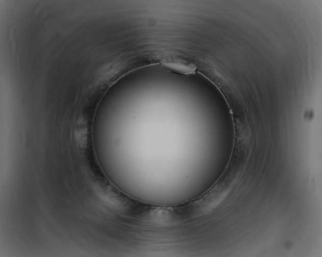 X0000100480080200806201640