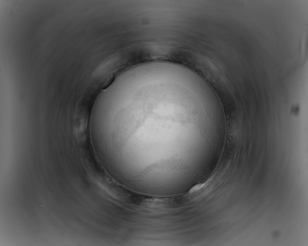 X0000100480082200806201640