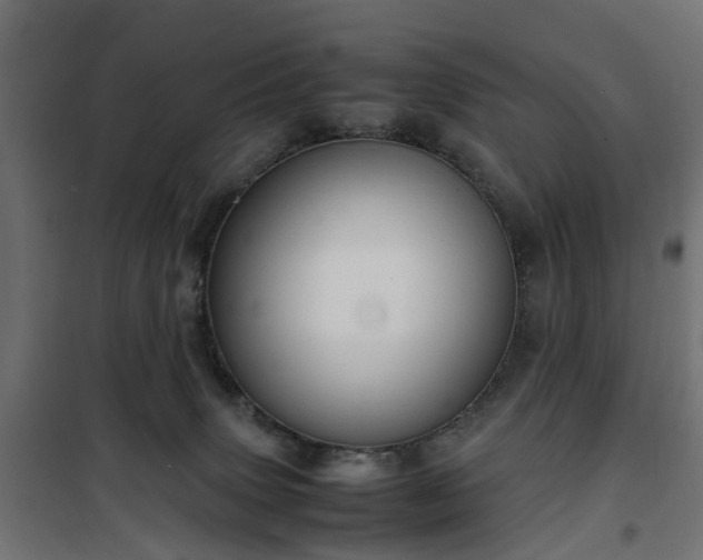 X0000100480083200806201640