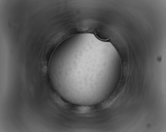 X0000100480085200806201640