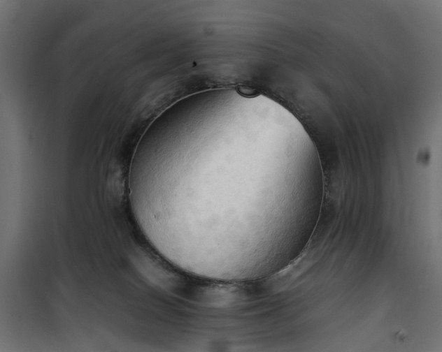 X0000100480086200806201640