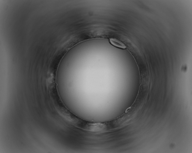 X0000100480087200806201640