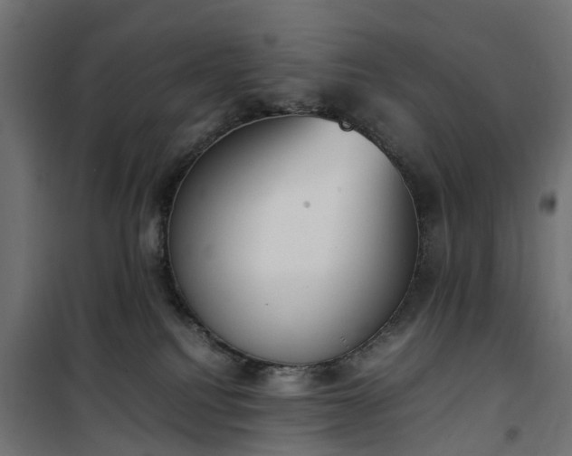 X0000100480088200806201640