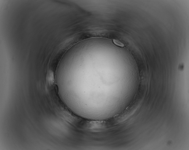 X0000100480089200806201640