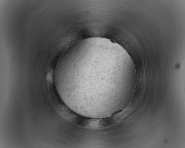 X0000100480090200806201640