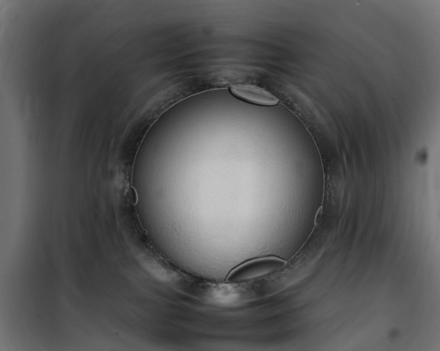 X0000100480091200806201640