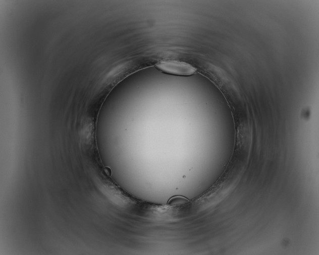 X0000100480092200806201640