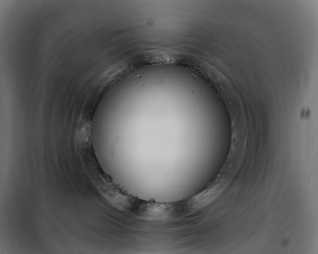 X0000100480096200806201640