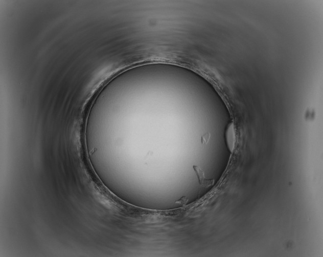 X0000100480098200806201639