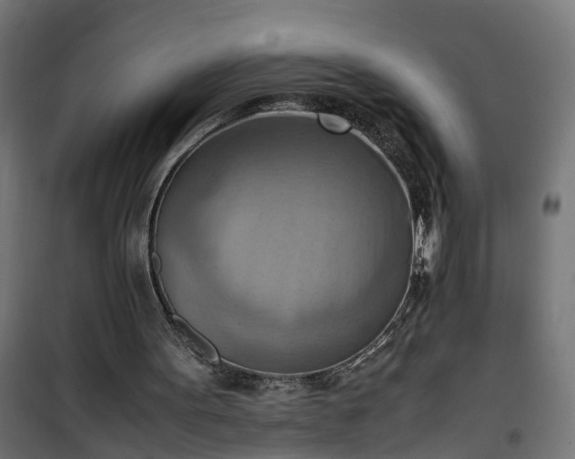 X0000100480099200806201639