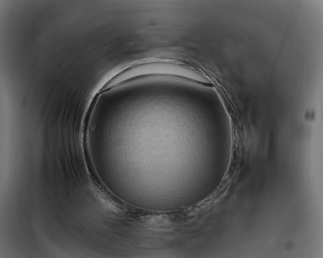 X0000100480100200806201639