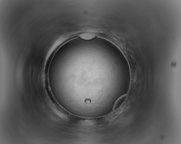 X0000100480102200806201639