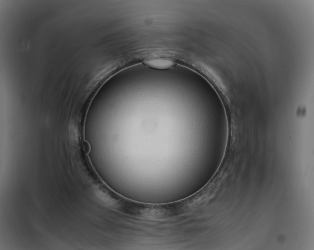 X0000100480105200806201639