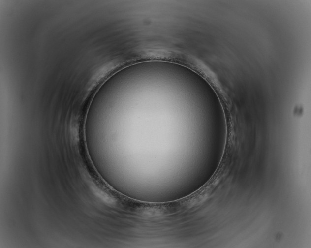 X0000100480106200806201639