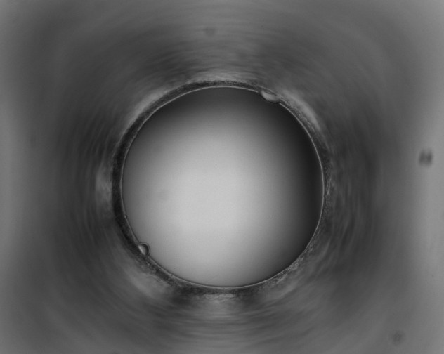 X0000100480108200806201639