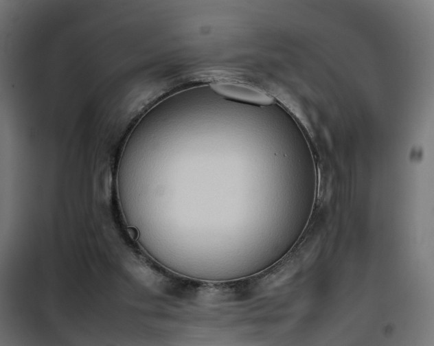 X0000100480109200806201639