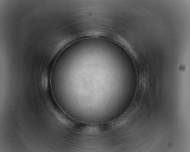 X0000100480110200806201639