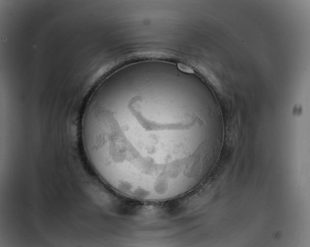 X0000100480111200806201639