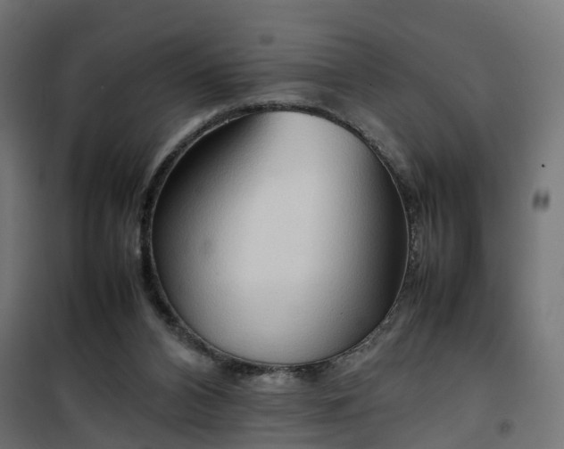 X0000100480112200806201639