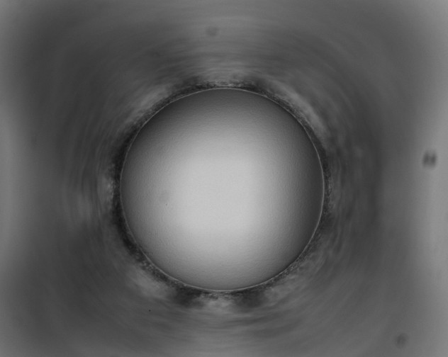 X0000100480113200806201639