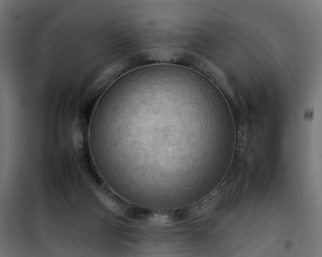 X0000100480114200806201639