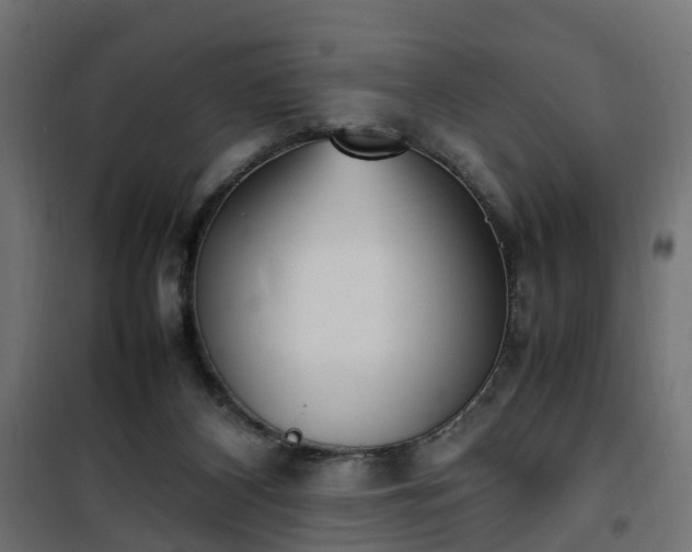 X0000100480116200806201639