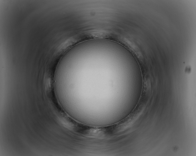 X0000100480117200806201639