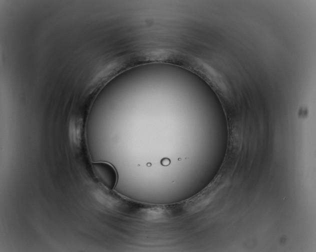 X0000100480118200806201639