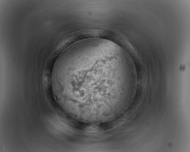 X0000100480119200806201639